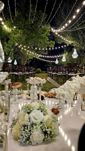 عکس تالار باغ رز