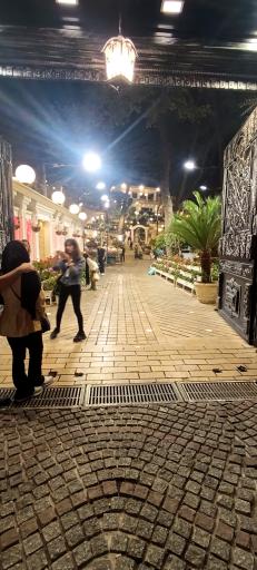 عکس باغ دربند