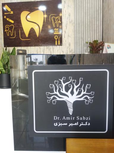 عکس دکتر امیر سبزی