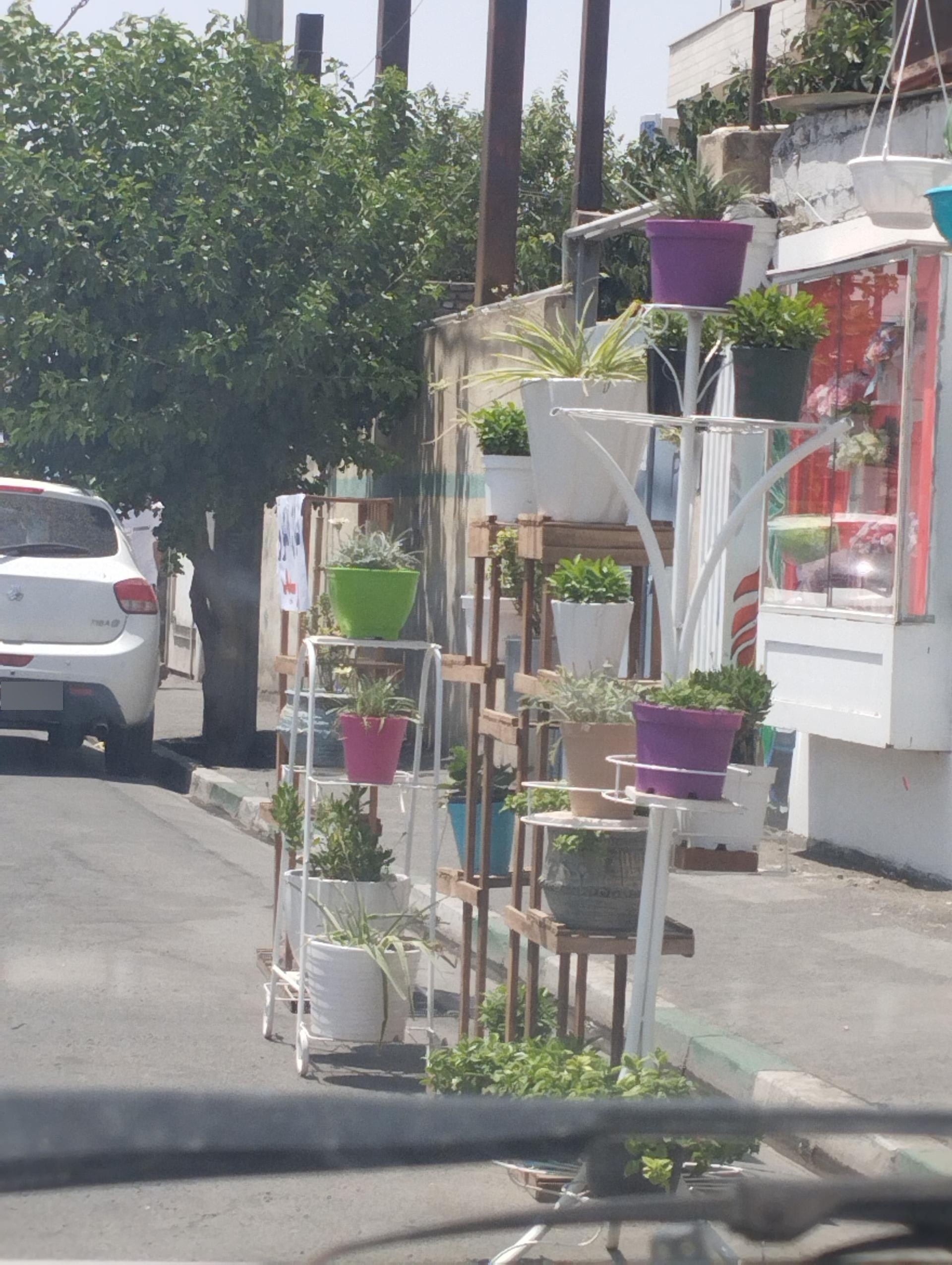 عکس  گل فروشی لادن