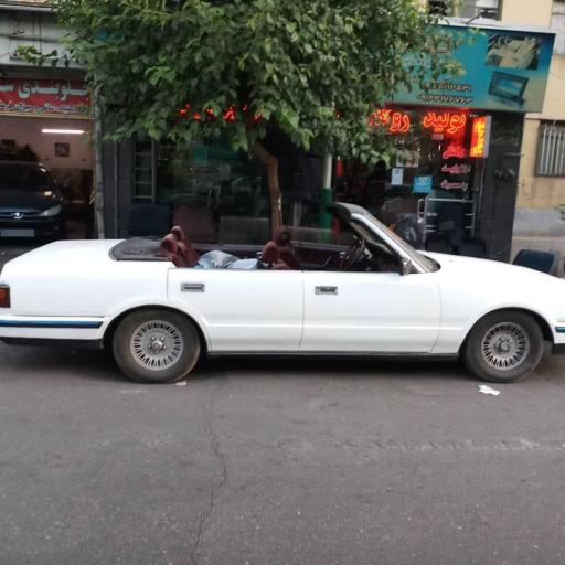 عکس روکش صندلی برادران باغبان