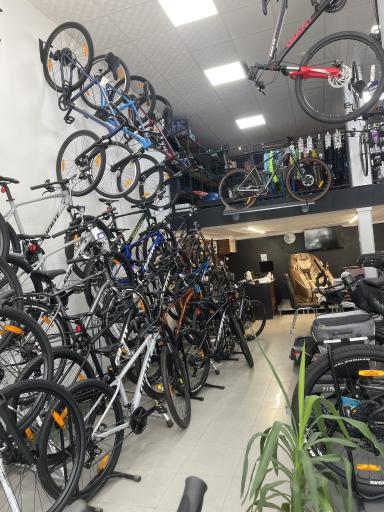 عکس نمایندگی دوچرخه جاینت (بیت بایک)