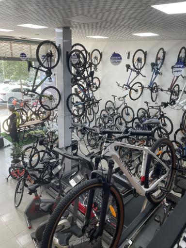 نمایندگی دوچرخه جاینت (بیت بایک)