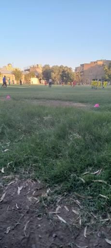 عکس زمین فوتبال شاهین