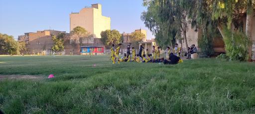 عکس زمین فوتبال شاهین