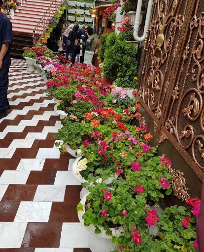 عکس باغ دربند