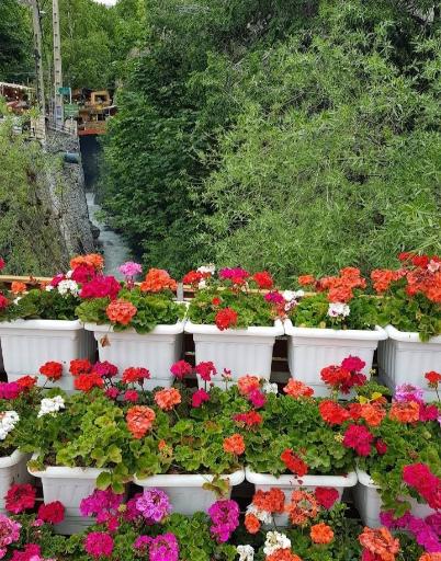 عکس باغ دربند