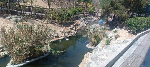 عکس کبوترخانه باغ پرندگان