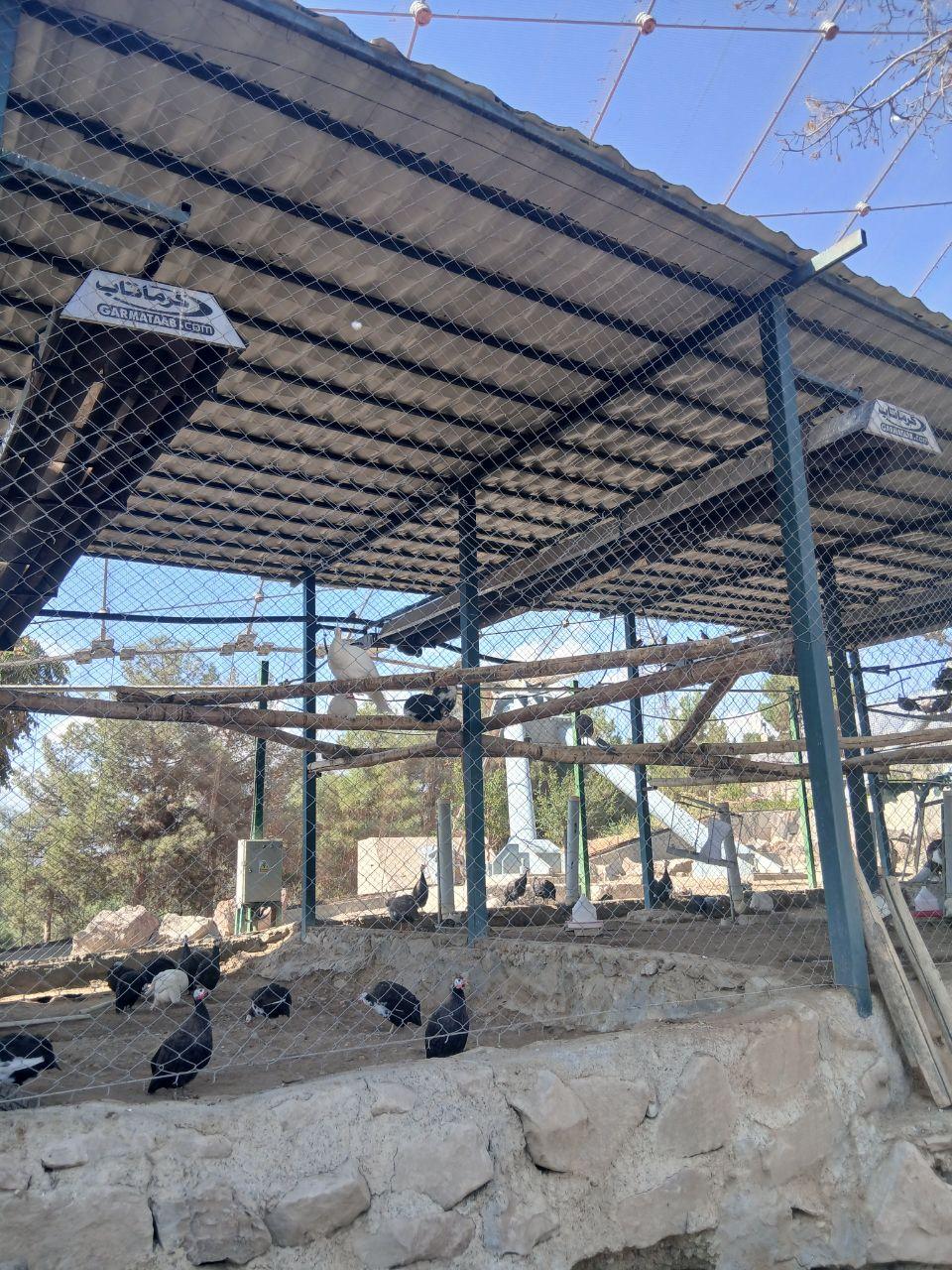 عکس کبوترخانه باغ پرندگان