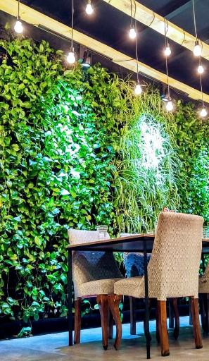 عکس کافه رستوران ناژلند