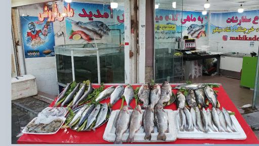 عکس ماهیکده میلاد 