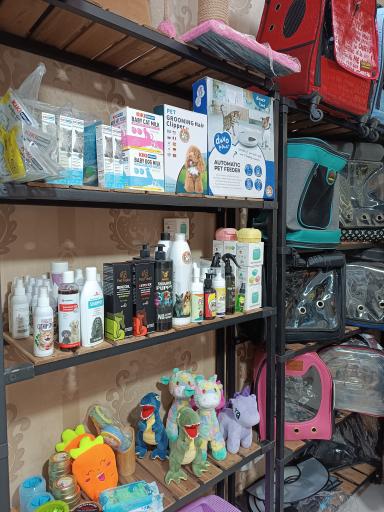 عکس کلینیک دامپزشکی نیل پت