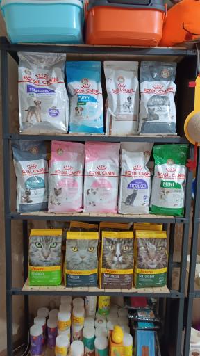 عکس کلینیک دامپزشکی نیل پت