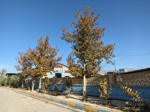 عکس شرکت سنگ صنعتی زیگورات