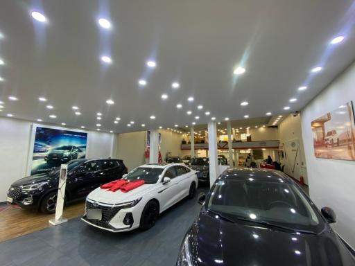 نمایندگی مدیران خودرو 411 امنیت پرست