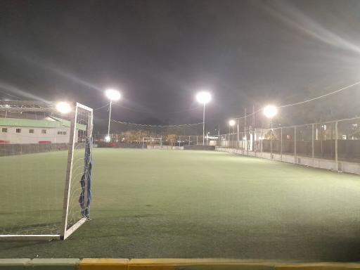 عکس زمین چمن