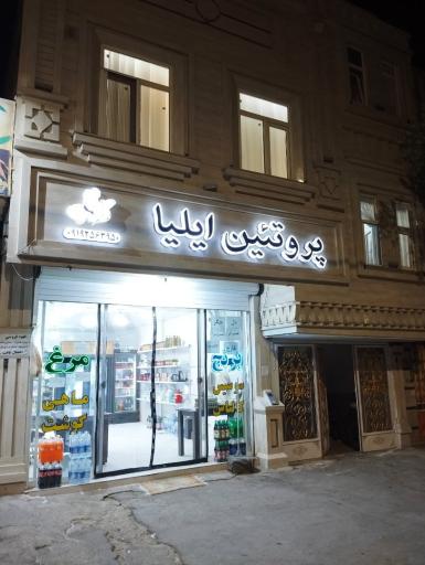 پروتئین ایلیا