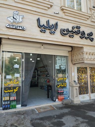 پروتئین ایلیا