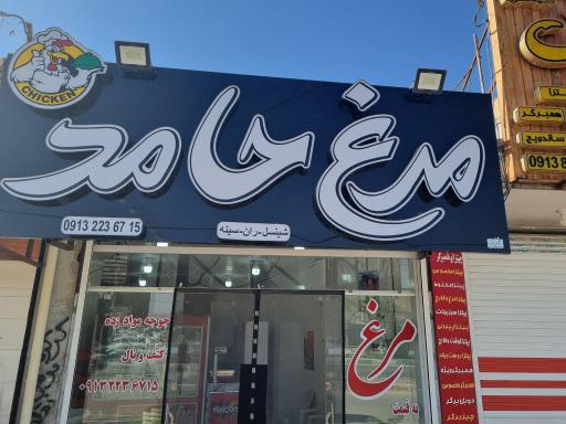 عکس مرغ حامد