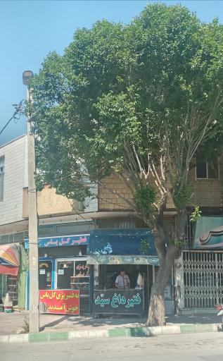 عکس نان فطیر سید