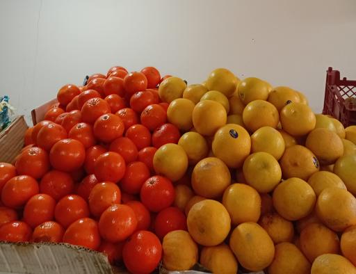 عکس میوه دستچین