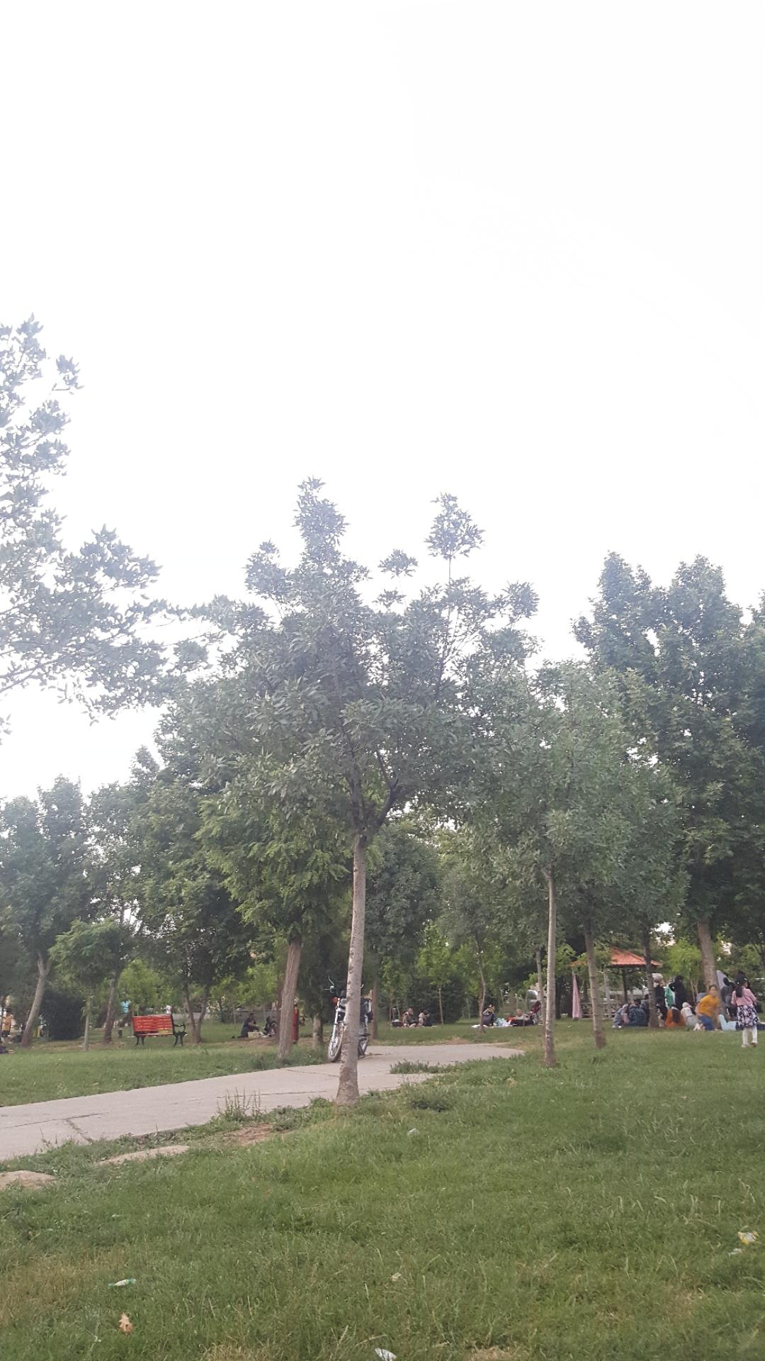 عکس پارک مادر