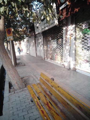 عکس امام هادی  3