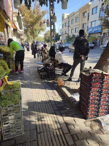 عکس امام هادی  3