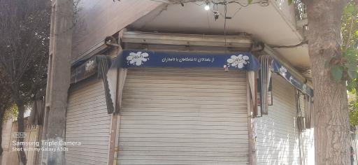 عکس سوپر مارکت دریانی