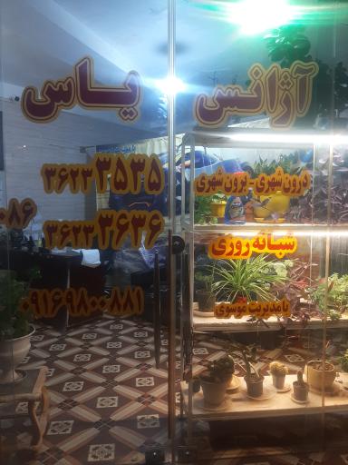 عکس آژانس یاس