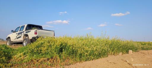 عکس آران و بیدگل