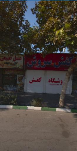 عکس کفش سروش