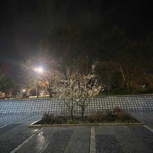 عکس بوستان مردم