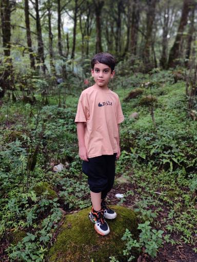 عکس جنگل تیلاکنار