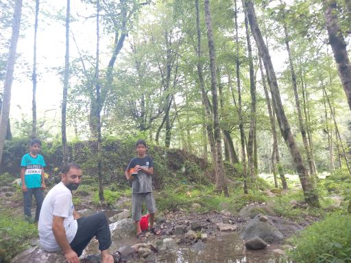 عکس جنگل تیلاکنار