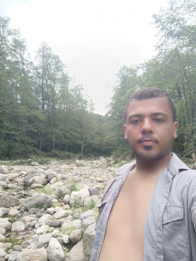 عکس جنگل تیلاکنار