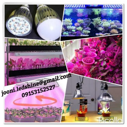 عکس صنایع تولیدی روشنایی شاین 