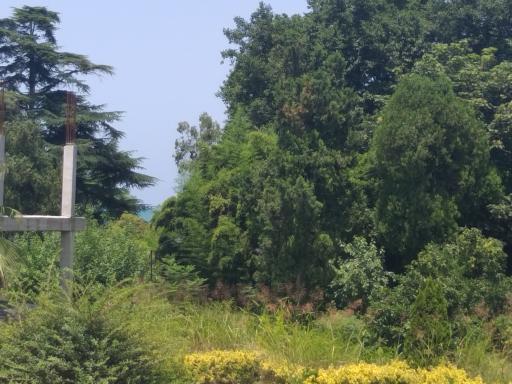 عکس مجتمع فرهنگی تربیتی شهید مطهری چابکسر