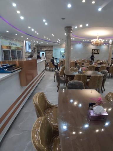 عکس جوجه طلایی مولایی