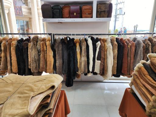 عکس چرم گوزل