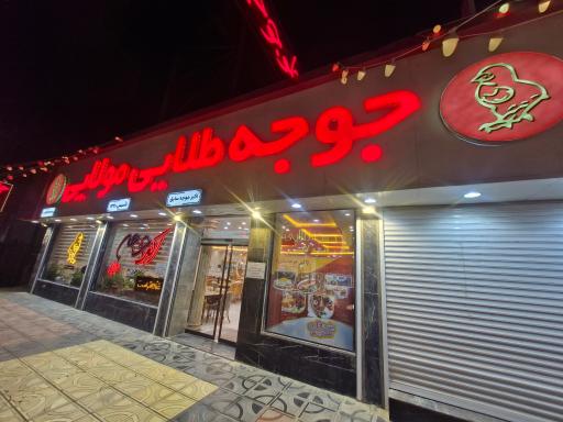 عکس جوجه طلایی مولایی