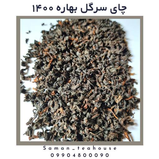 عکس پخش چای سامان