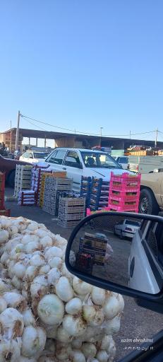 عکس میدان میوه و تره بار زابل