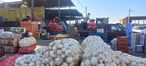 عکس میدان میوه و تره بار زابل