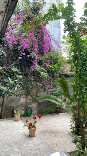 عکس کافه قدیم رشت