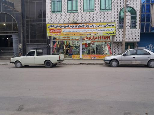 عکس نمایندگی رسمی زنجیره ای آلمالو در غرب کشور 