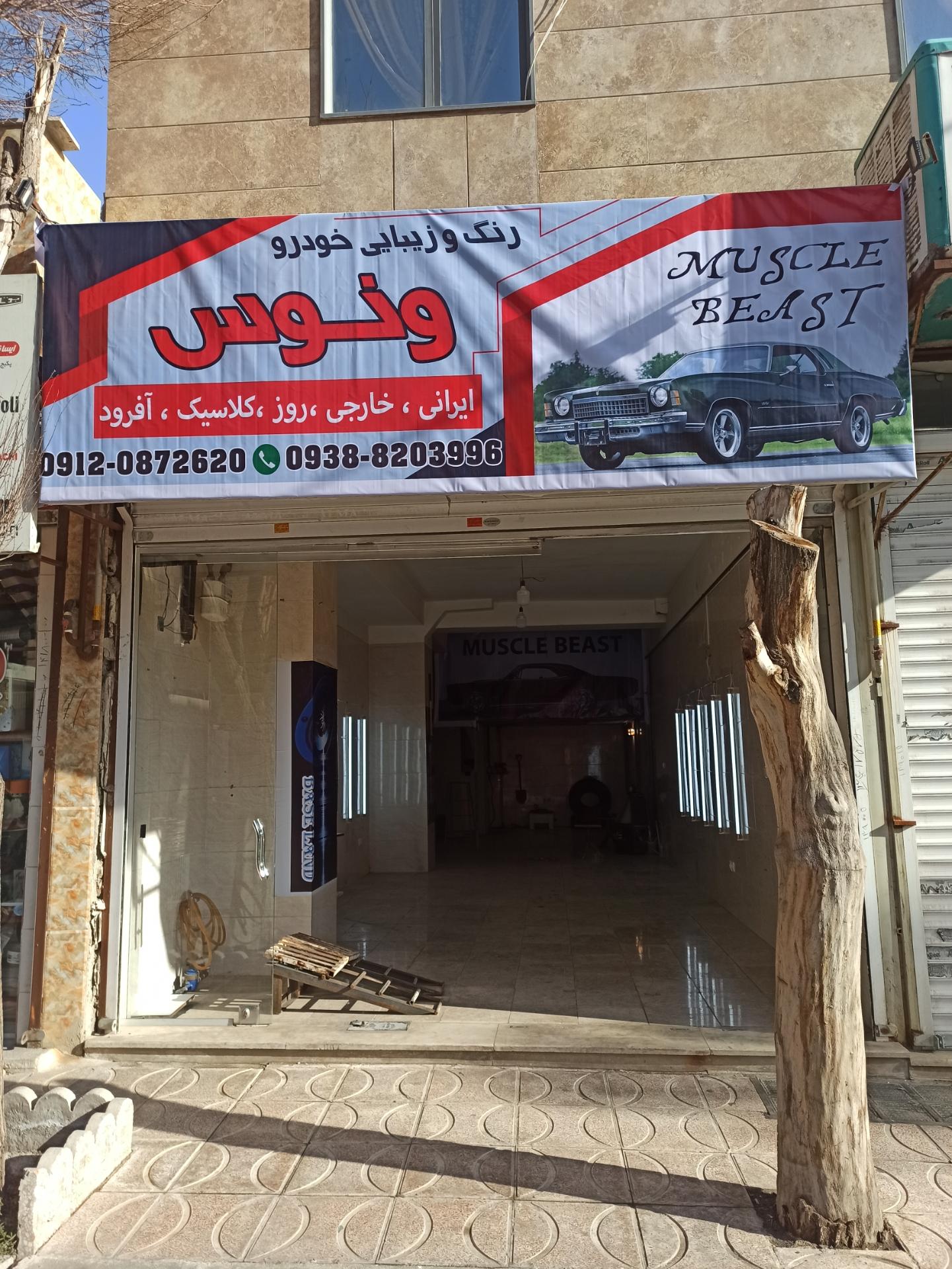 عکس رنگ و زیبایی خودرو ونوس