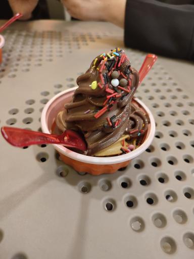 عکس کافه بستنی فریژن