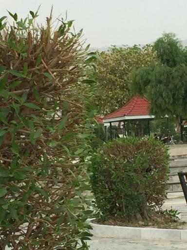 عکس پارک خلیج فارس کنگان