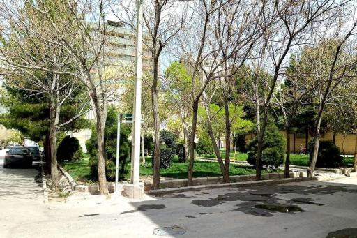 بوستان والفجر